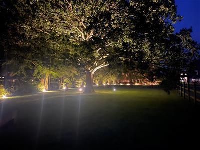 Picture 20